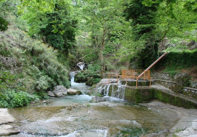 Ενοικιαζόμενα Δωμάτια Καφετέρια